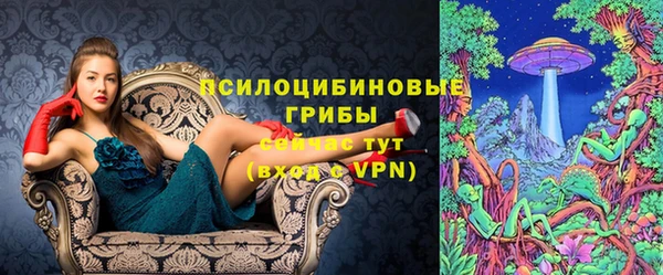 прущие крисы Медвежьегорск
