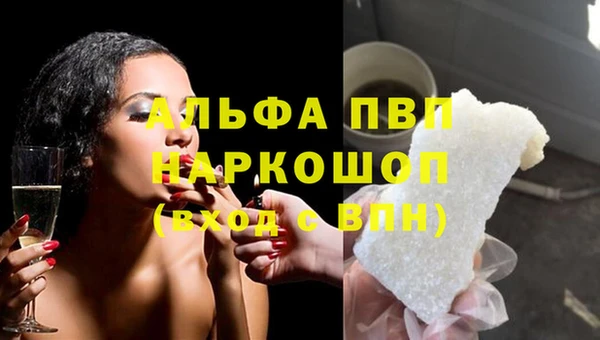 прущие крисы Медвежьегорск