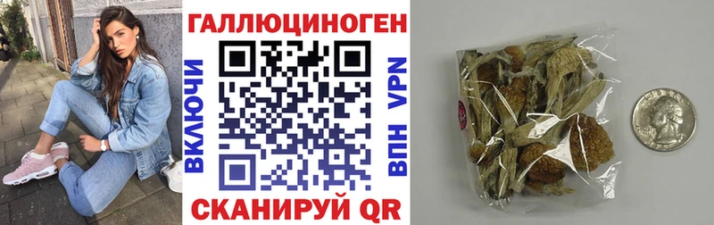 KRAKEN маркетплейс  Звенигово  Галлюциногенные грибы Psilocybe  наркошоп 