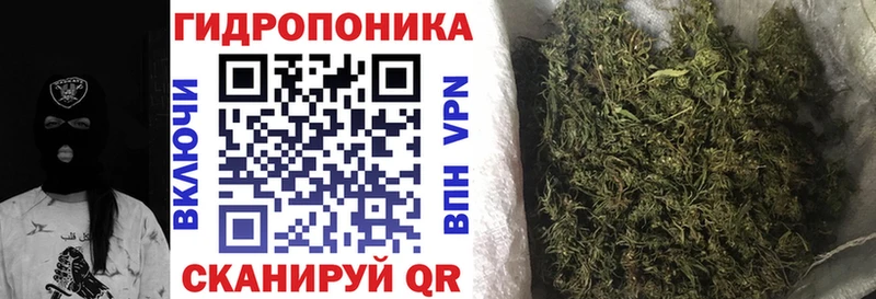 Шишки марихуана Ganja  KRAKEN ссылки  Звенигово 